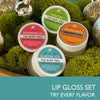 Lip Gloss Set of 4