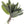 Sage Pure Essential Oil 10 ml.