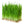 Sprouted Mineral Greens Lotion